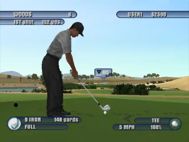 tiger woods pga tour 2003